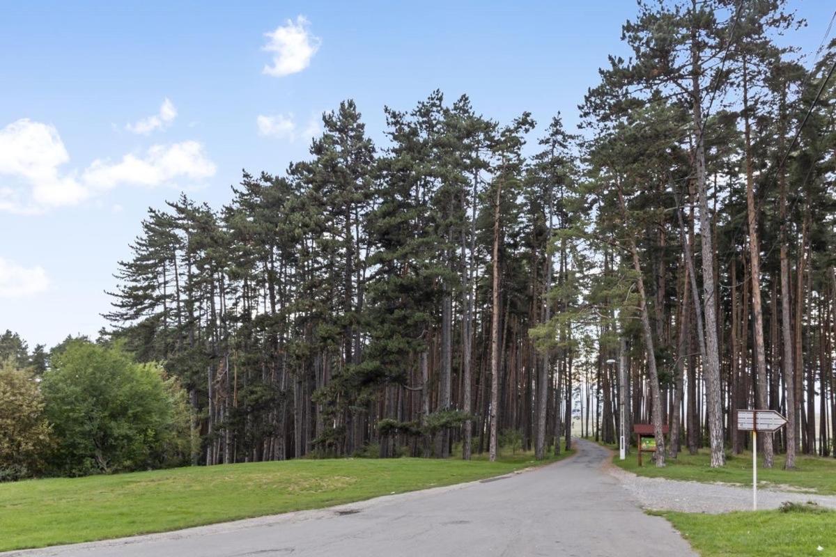 Вилла Casa Georgea Сэчеле Экстерьер фото