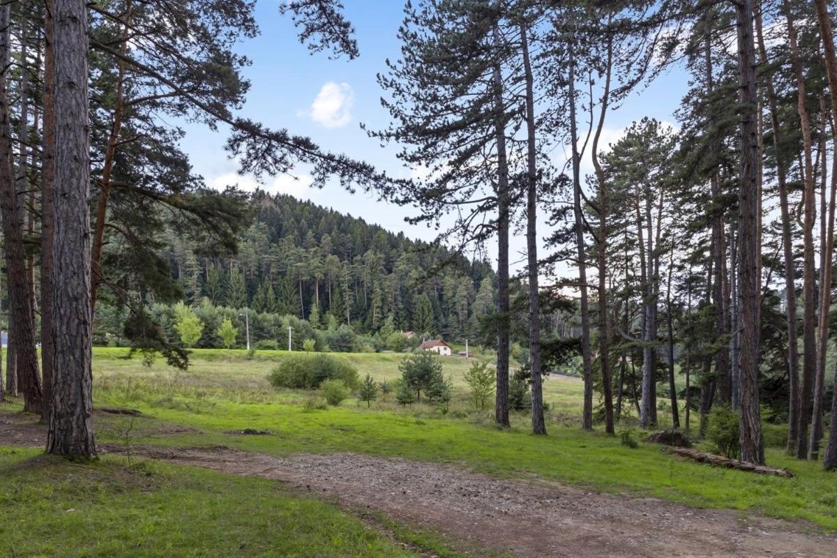 Вилла Casa Georgea Сэчеле Экстерьер фото